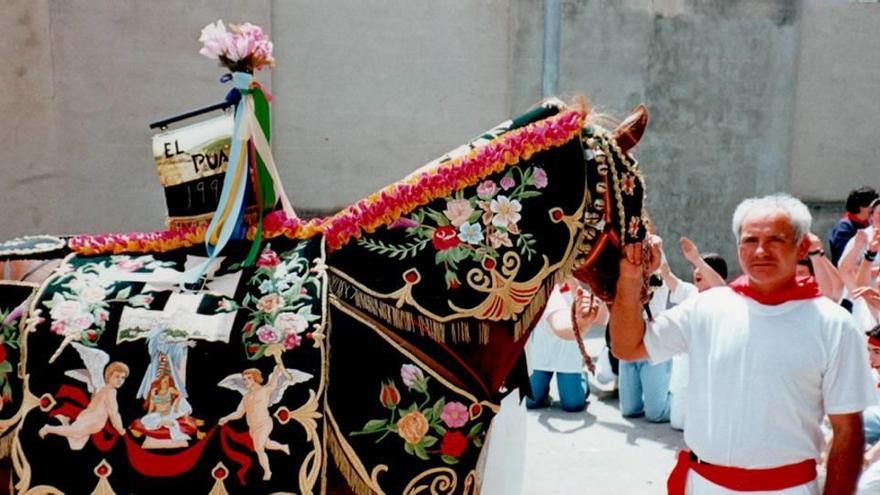 Un caballo con los enjarzes que utilizan los Caballos del Vino