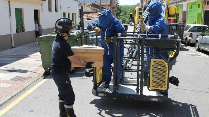 Los bomberos, retirando la caja con las abejas, en Noreña.