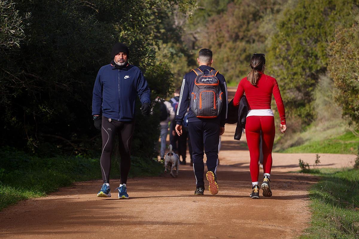 El cinturón verde muestra su cara más completa El cinturón verde muestra su cara más completa