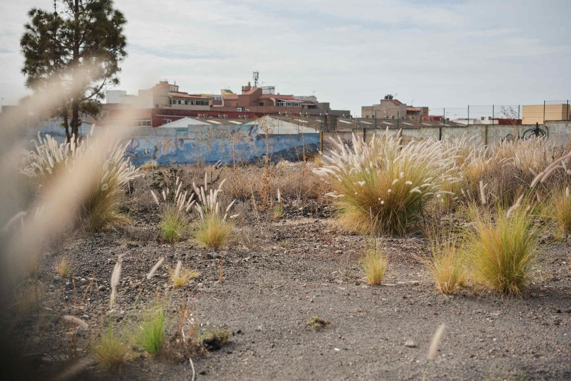 Estado del antiguo IES Padre Anchieta