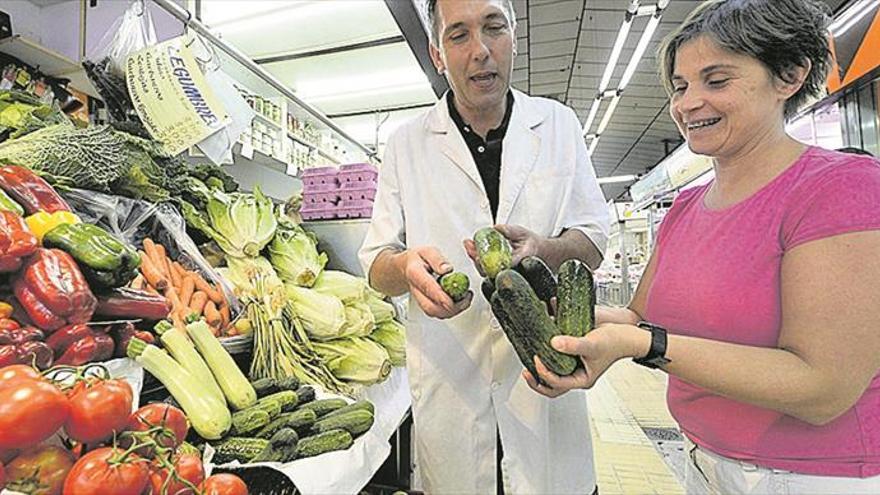 Pepino: simplicidad de la huerta a la mesa