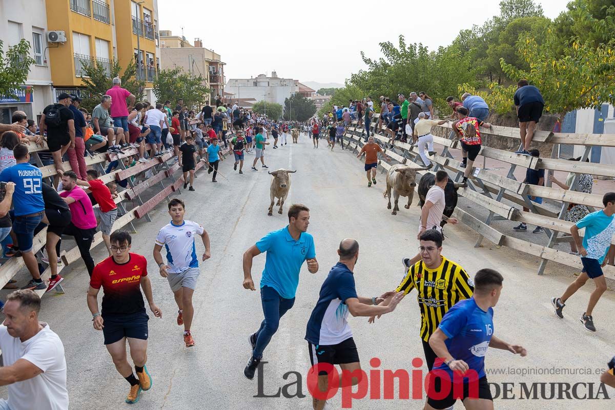 Segundo encierro de la Feria Taurina del Arroz en Calasparra