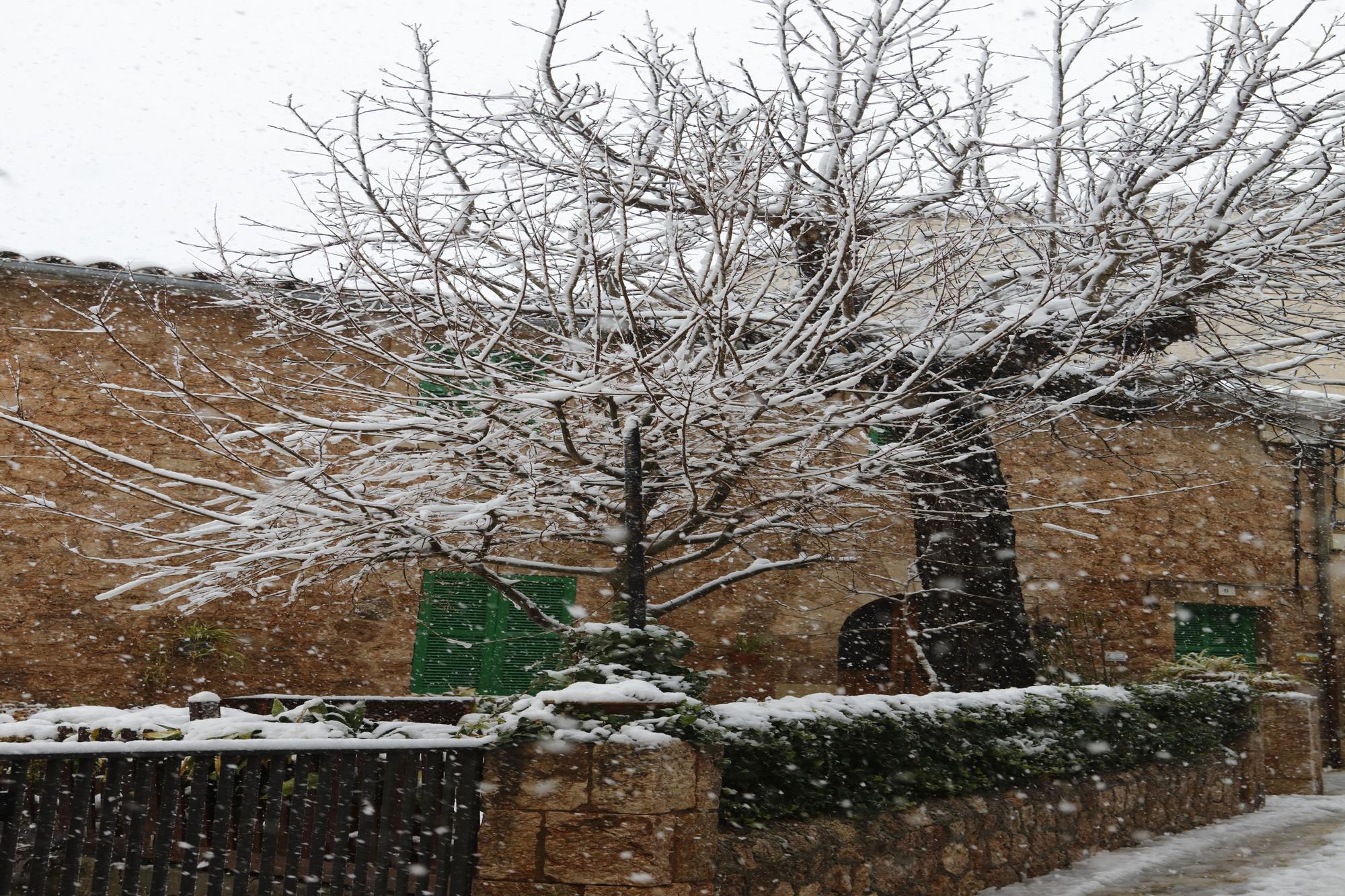 Malerisches Mallorca: Valldemossa im Schnee