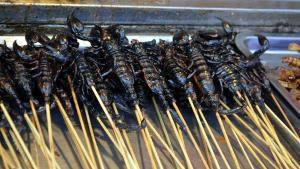 Insectos o carne sintética: ¿solución o parche ante el reto alimentario?