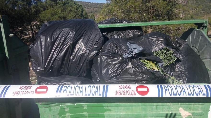 Los contenedores de basuras con los sacos de marihuana