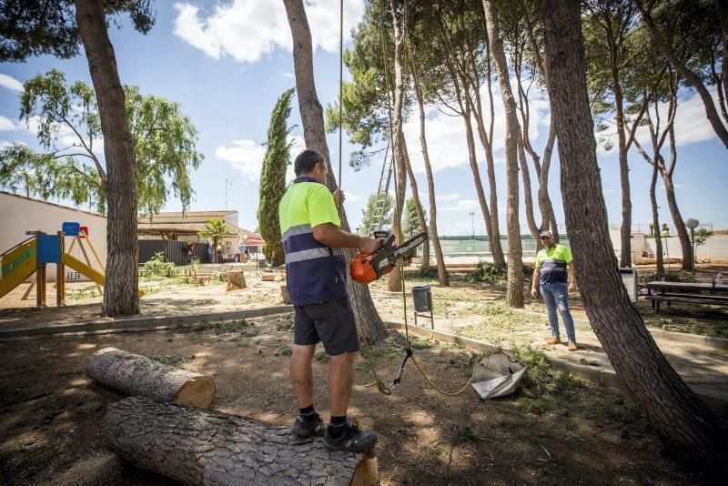 Efectos de la tormenta en Longares