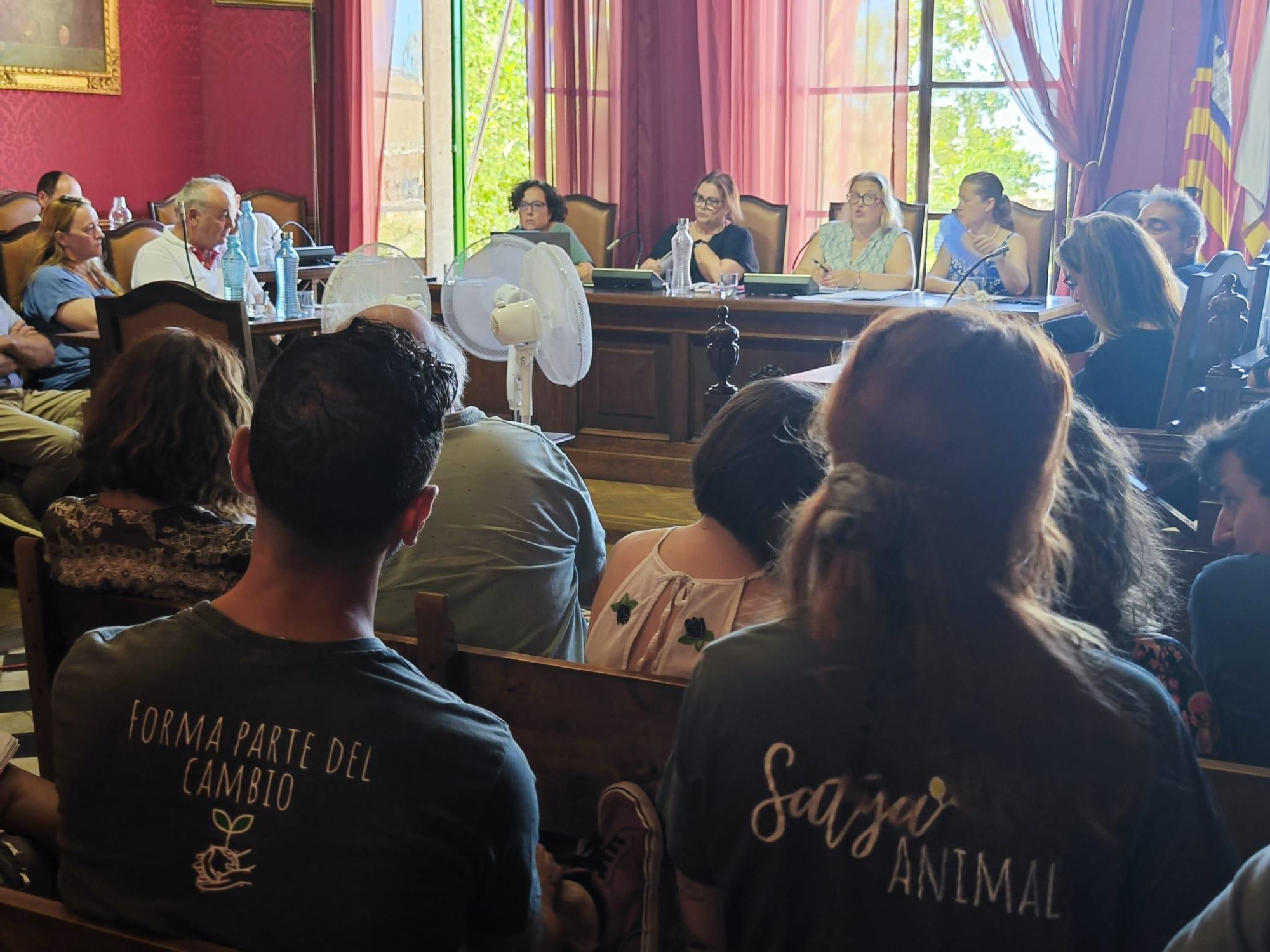 FOTOS | El pleno de Llucmajor para pedir el cierre de la macrogranja, en imágenes