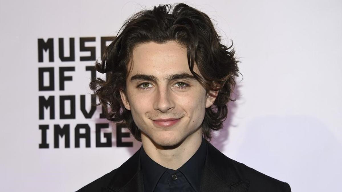 zentauroepp41310277 actor timothee chalamet attends museum of the moving image s171229112007