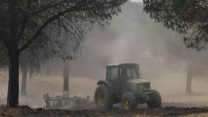 VÍDEO | Interfaz Urbano Forestal refuerza la defensa de Berrocal y Marigenta con maquinaria pesada