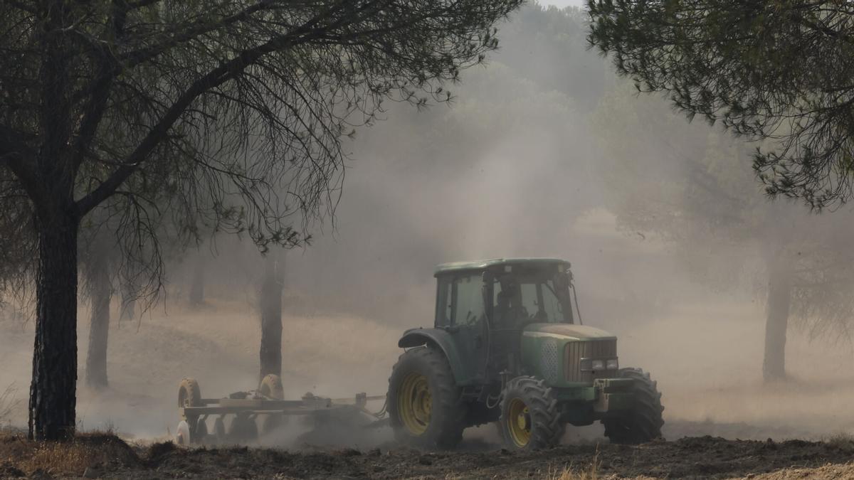 Maquinaria pesada realiza cortafuegos por el incendio de Niebla (Huelva). EFE/ José Manuel Vidal