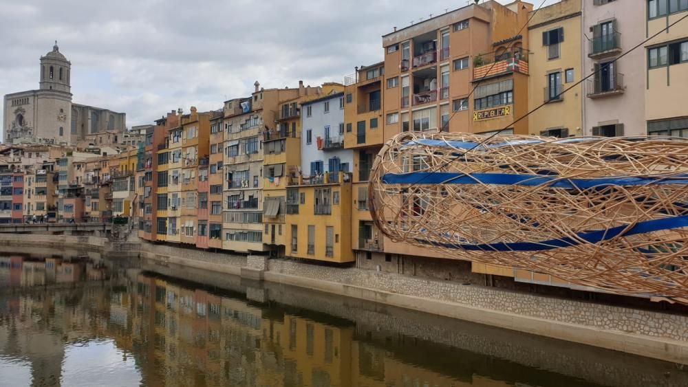 Girona, Temps de Flors 2019