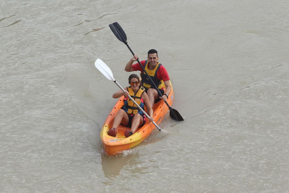 Ruta del Caimán por el río Guadalquivir