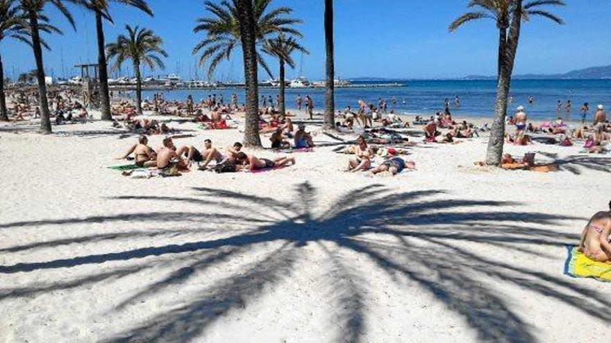 Die Mallorca-Besucher werden immer spendabler.