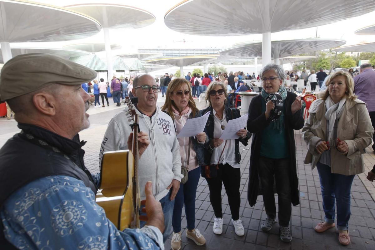 La Federación de Peñas celebra su día de convivencia