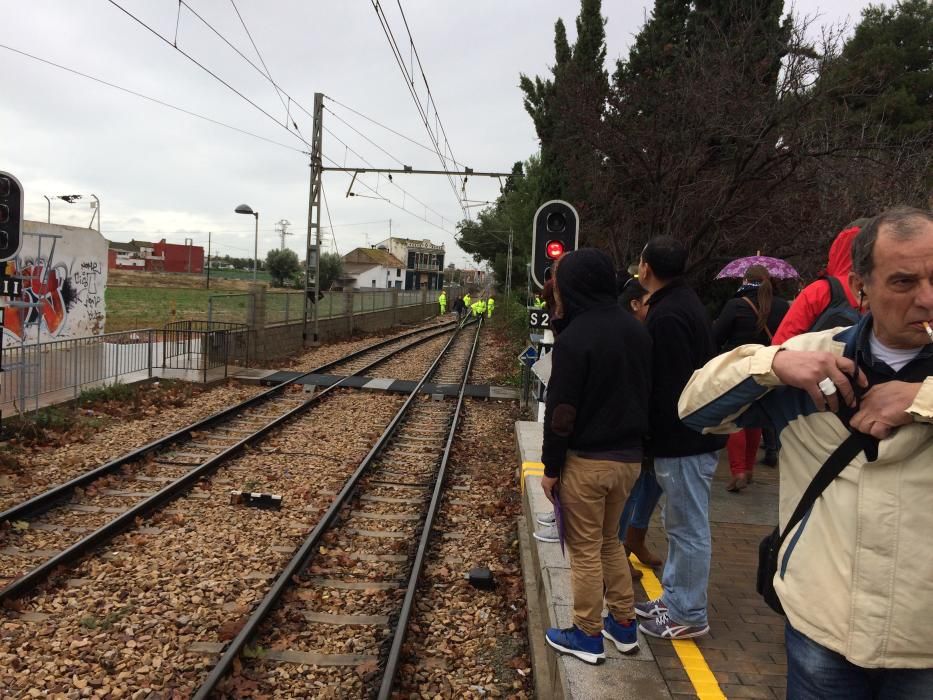 La caída de un árbol sobre la catenaria ha cortado el metro entre Meliana y Alboraia