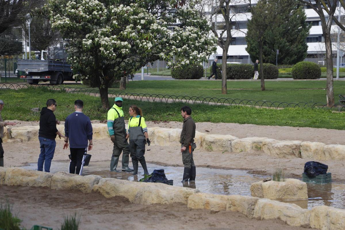 actuaciones de recuperación del estanque en los Jardines Escritora Elena Fortún