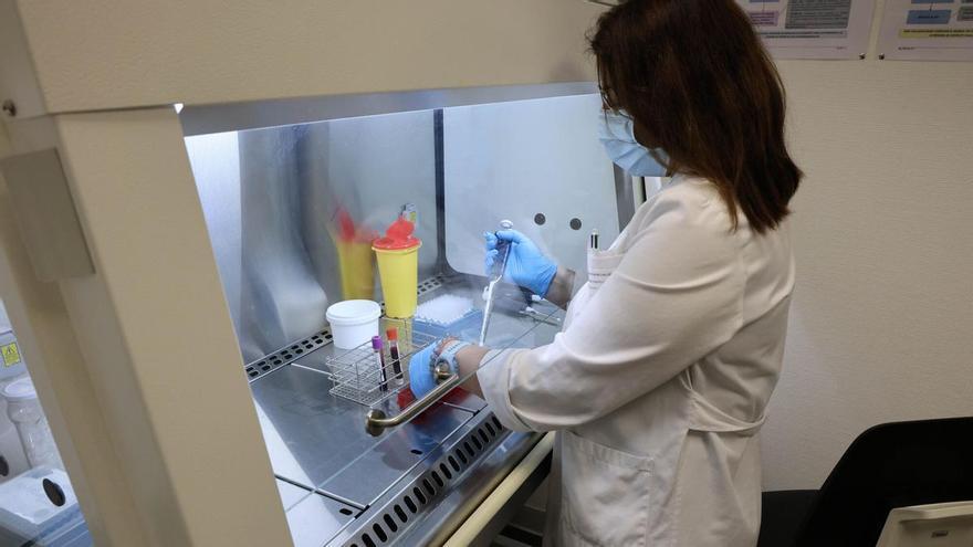 El Sergas prevé captar 75 investigadores en cuatro años y montar hasta seis empresas para comercializar los hallazgos científicos