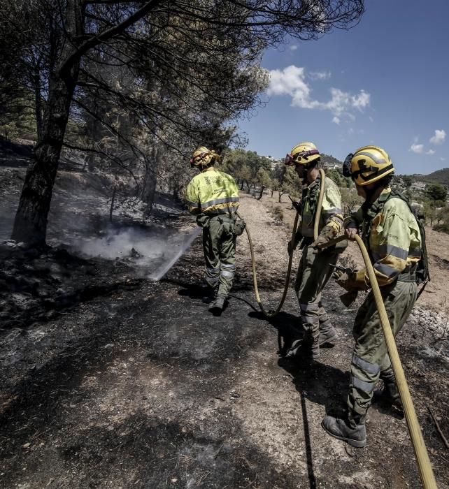 Incendio en La Torre de les Maçanes