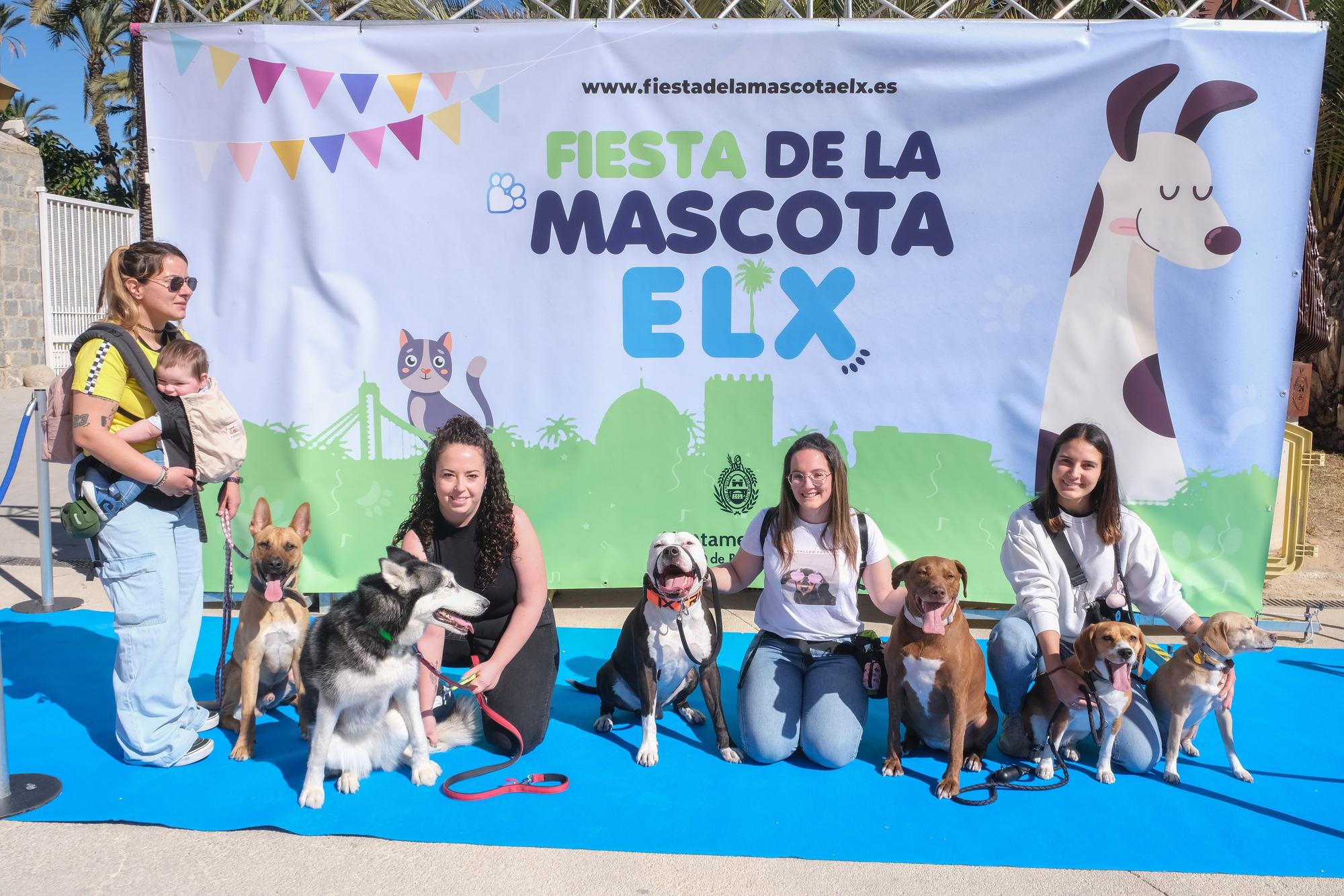 Fiesta de las mascotas en Elche