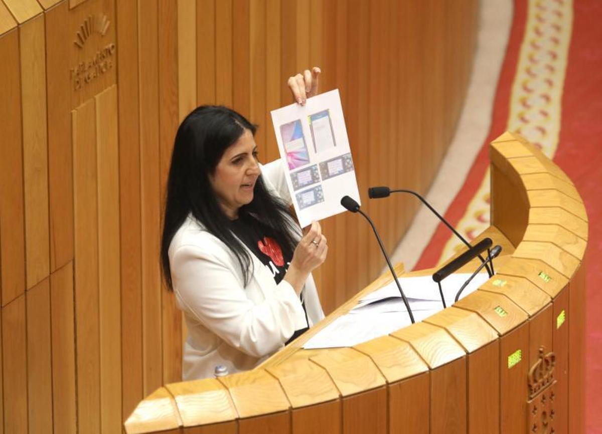 Miembros de la Plataforma SOS Sanidade Pública de Cangas, con pancarta junto al Parlamento. |   // FDV