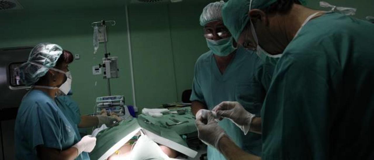 Imagen de archivo de una operación en los quirófanos del Hospital de Sant Joan.