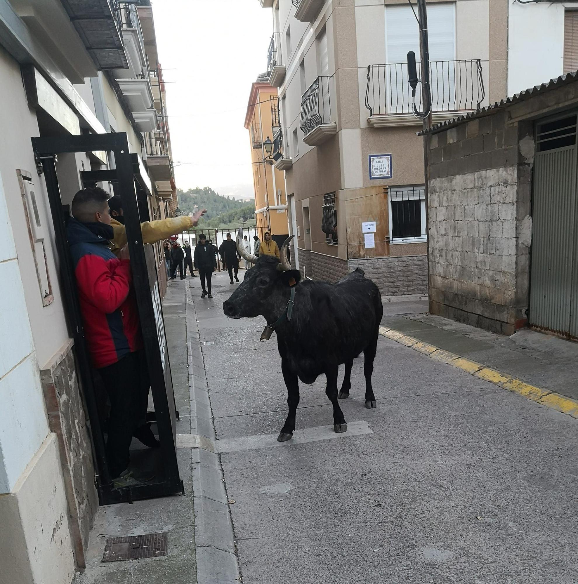 Fin de semana taurina en Navajas por San Antón