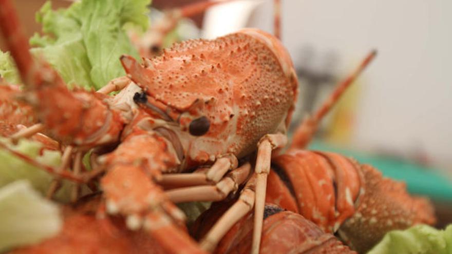 La langosta, protagonista en los platos de A Guarda // FARO