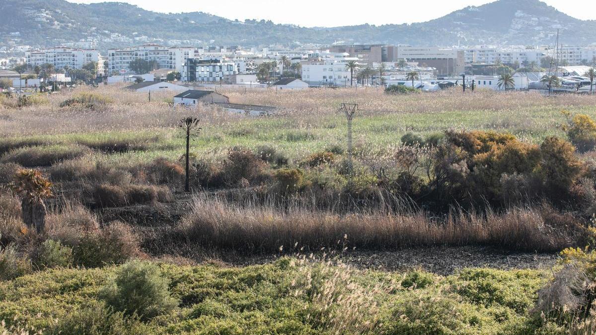 Imagen parcial de ses Feixes des Prat de Ibiza.