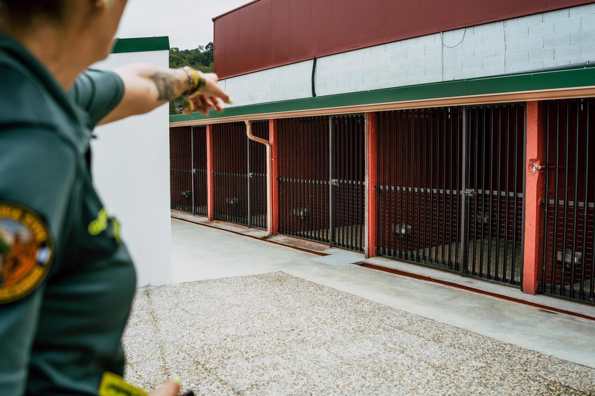 Las nuevas perreras de la Comandancia de la Guardia Civil en Ourense