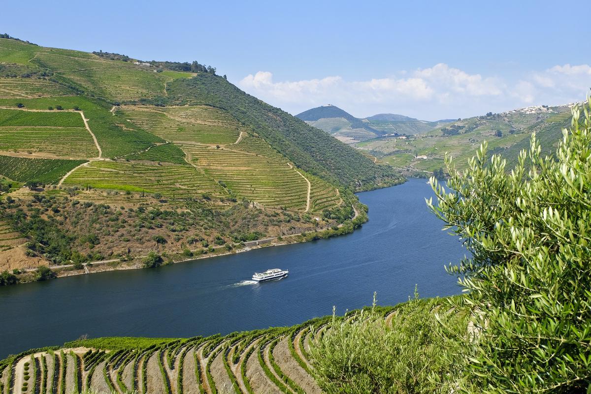 Crucero por el valle do Douro en Portugal
