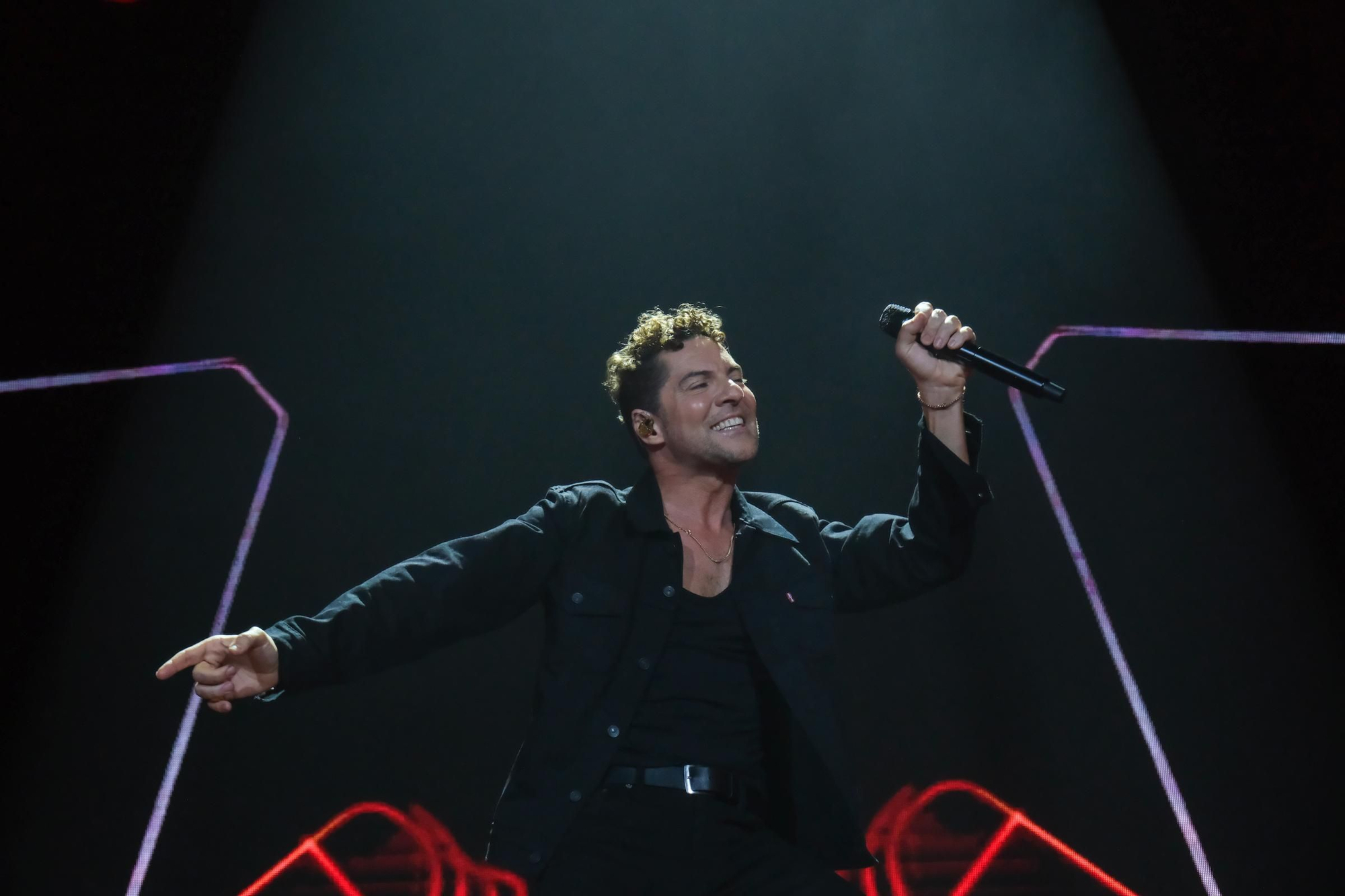 El concierto de David Bisbal en el Martín Carpena de Málaga, en imágenes