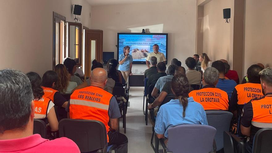 El día 23 arranca la campaña de recuperación de la pardela cenicienta en Tenerife