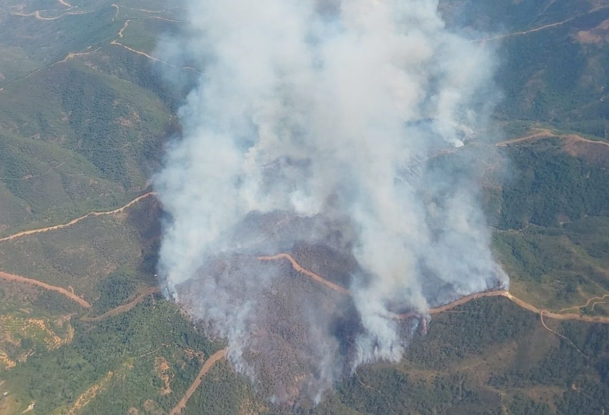 Incendio forestal en el paraje La Resinera de Pujerra