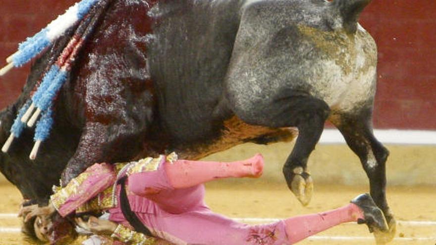 El diestro Juan José Padilla es cogido en la cara por su segundo toro de la corrida de Feria del Pilar de Zaragoza.