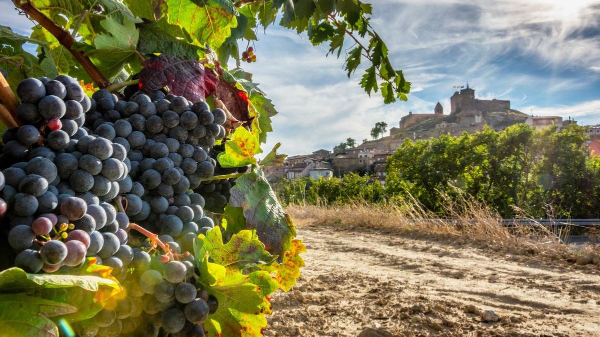 El barrio que congrega el mayor número de bodegas centenarias del mundo está en España