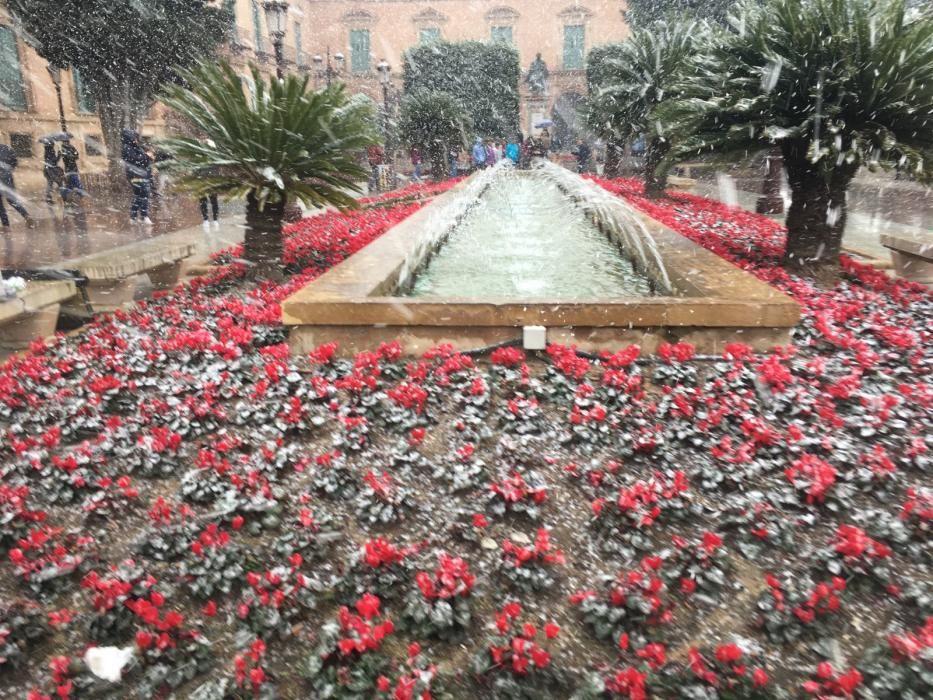 La nieve tiñe de blanco Murcia