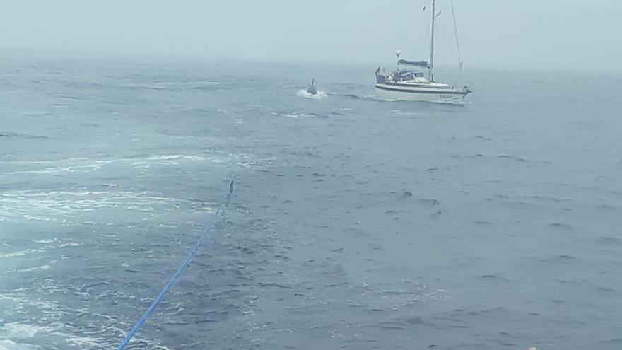 Momento en el que el velero es rescatado por Salvamento Marítimo, al fondo y junto a la embarcación, uno de los cetáceos