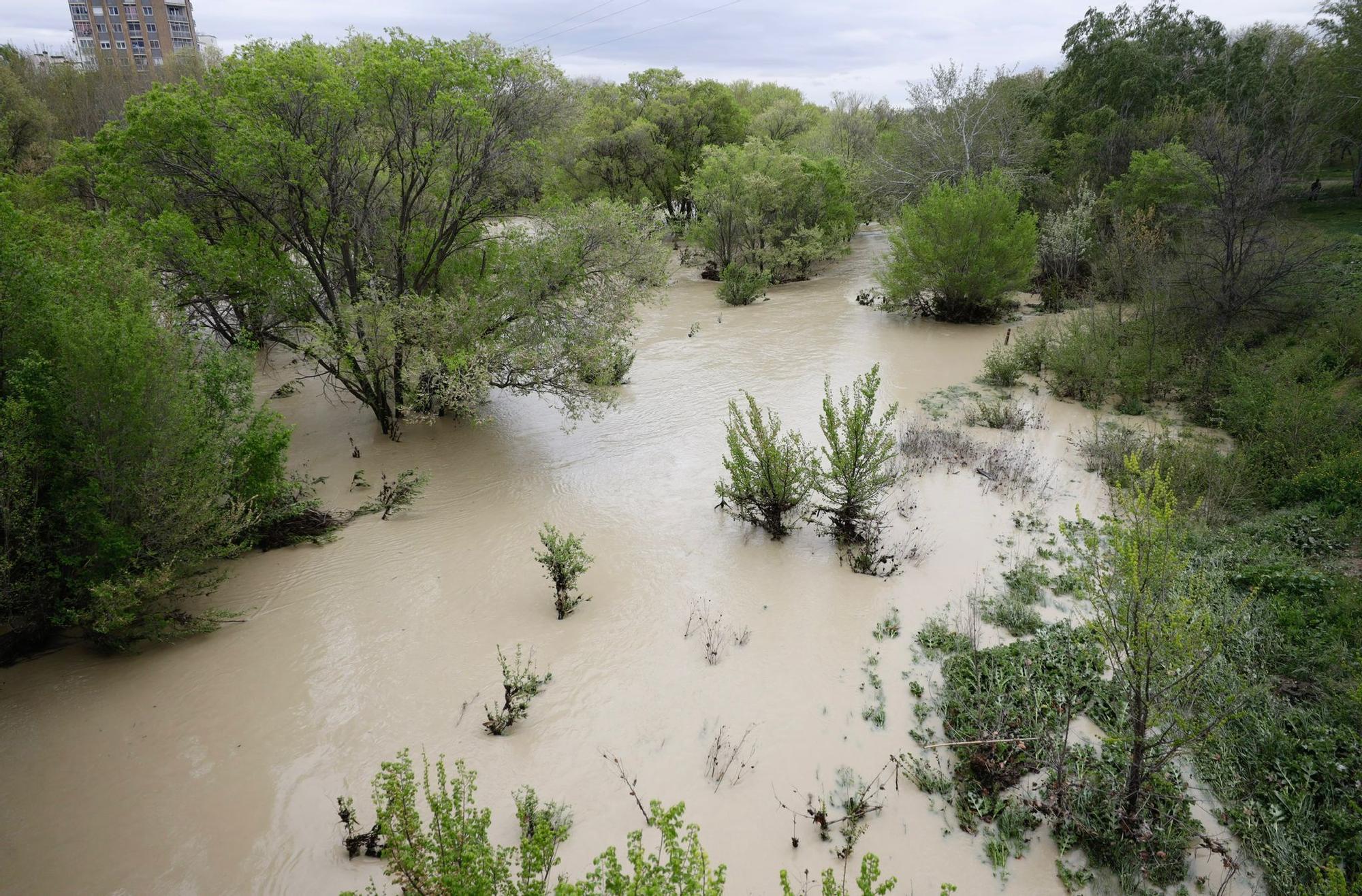 En imágenes | Así está el caudal del río Gállego a su paso por Zaragoza