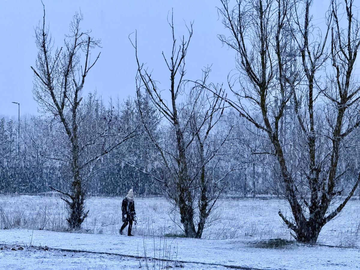 Nieve sobre Valladolid