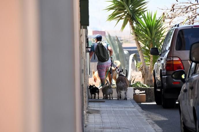 13/03/2019 LAS HUESAS. TELDE. Abandono de cachorros en contenedores de basura en el barrio de Las Huesas.  Fotografa: YAIZA SOCORRO.