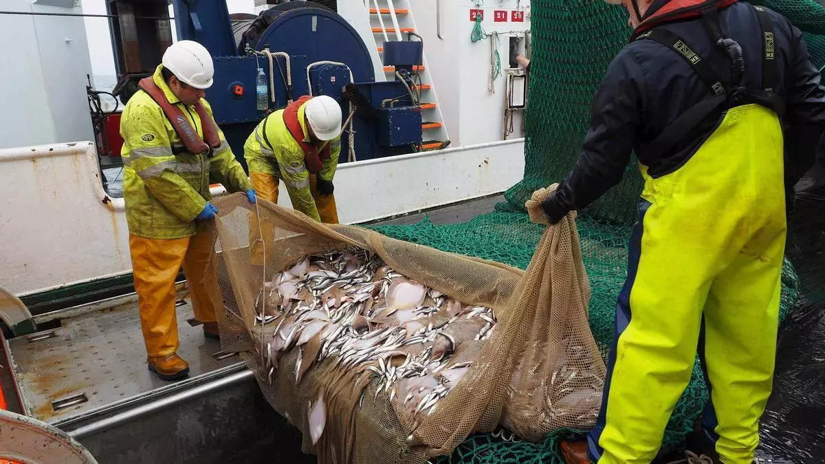 Personal del oceanográfico vigués «Miguel Oliver» reactiva la lucha por el quiñón: «Madrid solo hace propaganda»