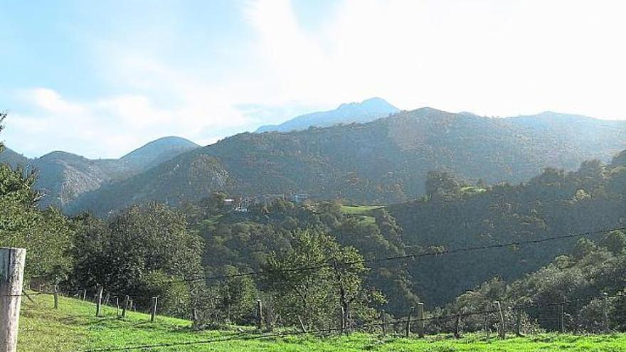 La sierra de Peñamayor.