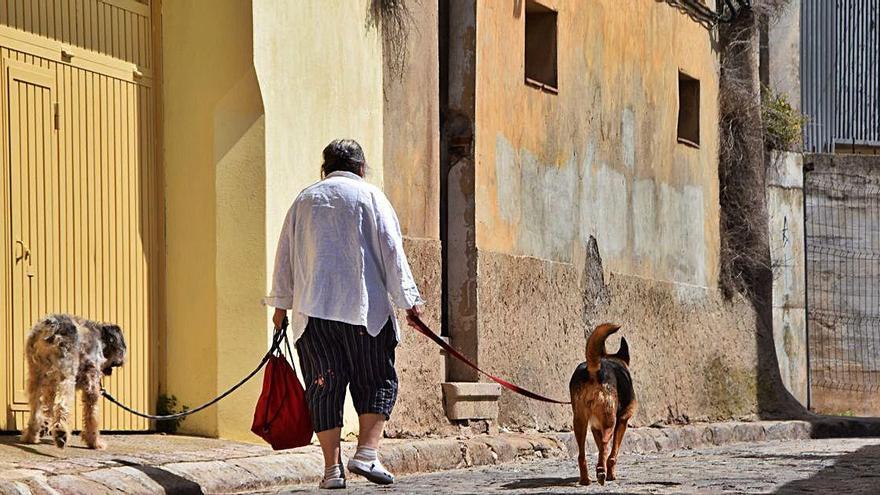 Una senyora passeja amb els gossos pel barri vell de Berga