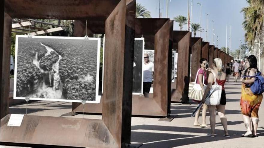 La exposición Génesis se extiende a lo largo del paseo marítimo de Alicantre.