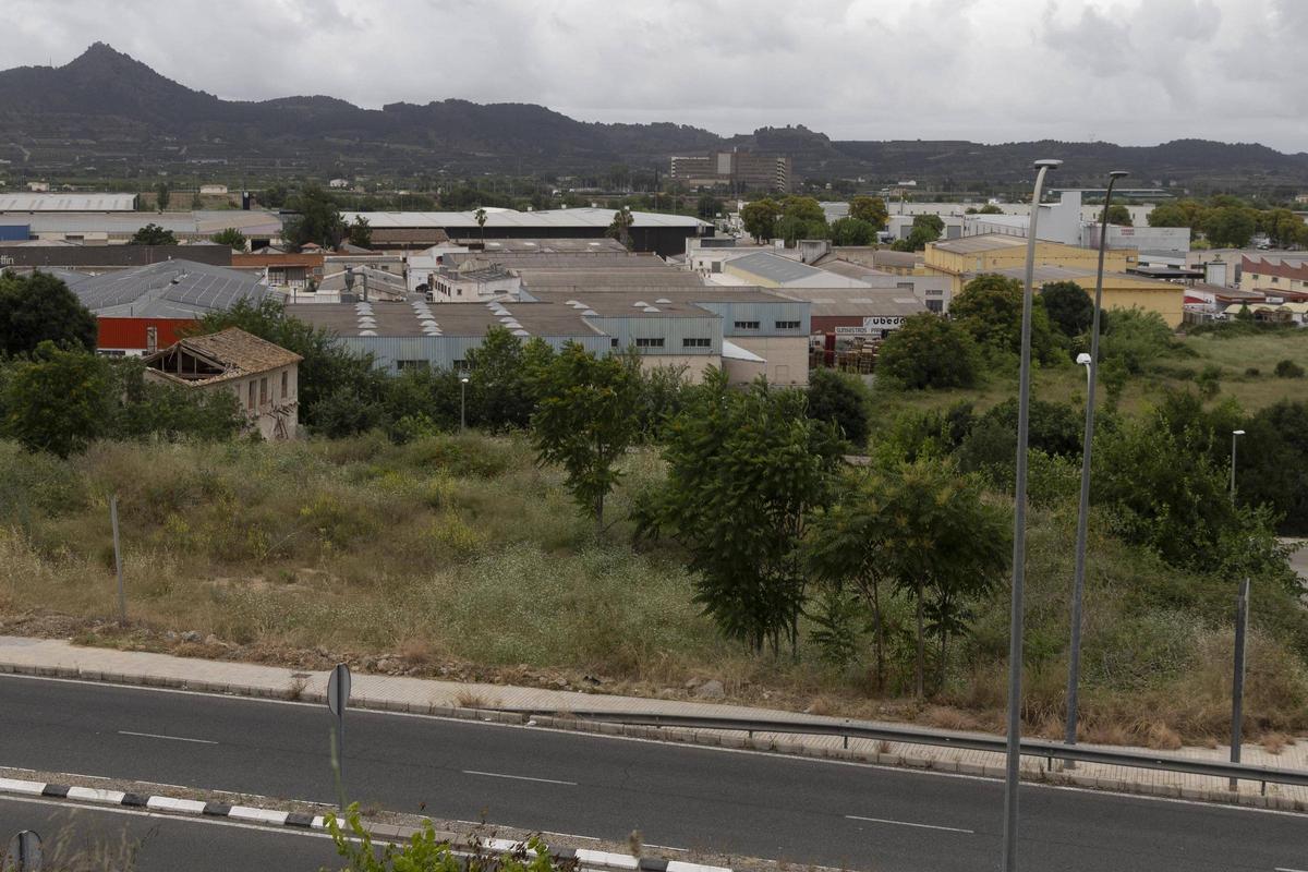 Terreno junto al Molí Sarrampedra en el sector Pla de la Mesquita.