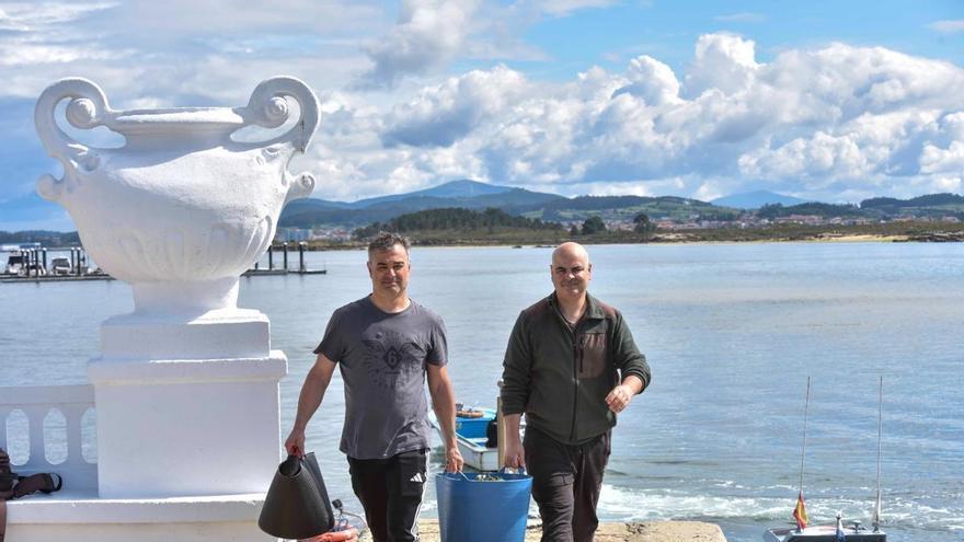 Nueva ofensiva en Arousa contra especies depredadoras como el busano y la cañadilla