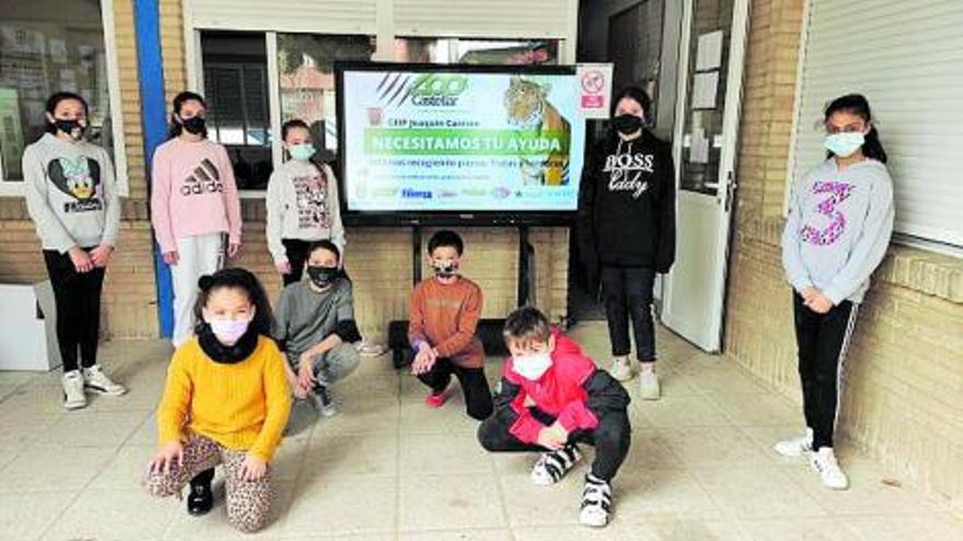 Los alumnos y maestros del colegio Joaquín Carrión han realizado una campaña para donar alimentos al centro de recuperación animal ‘Castellar’.