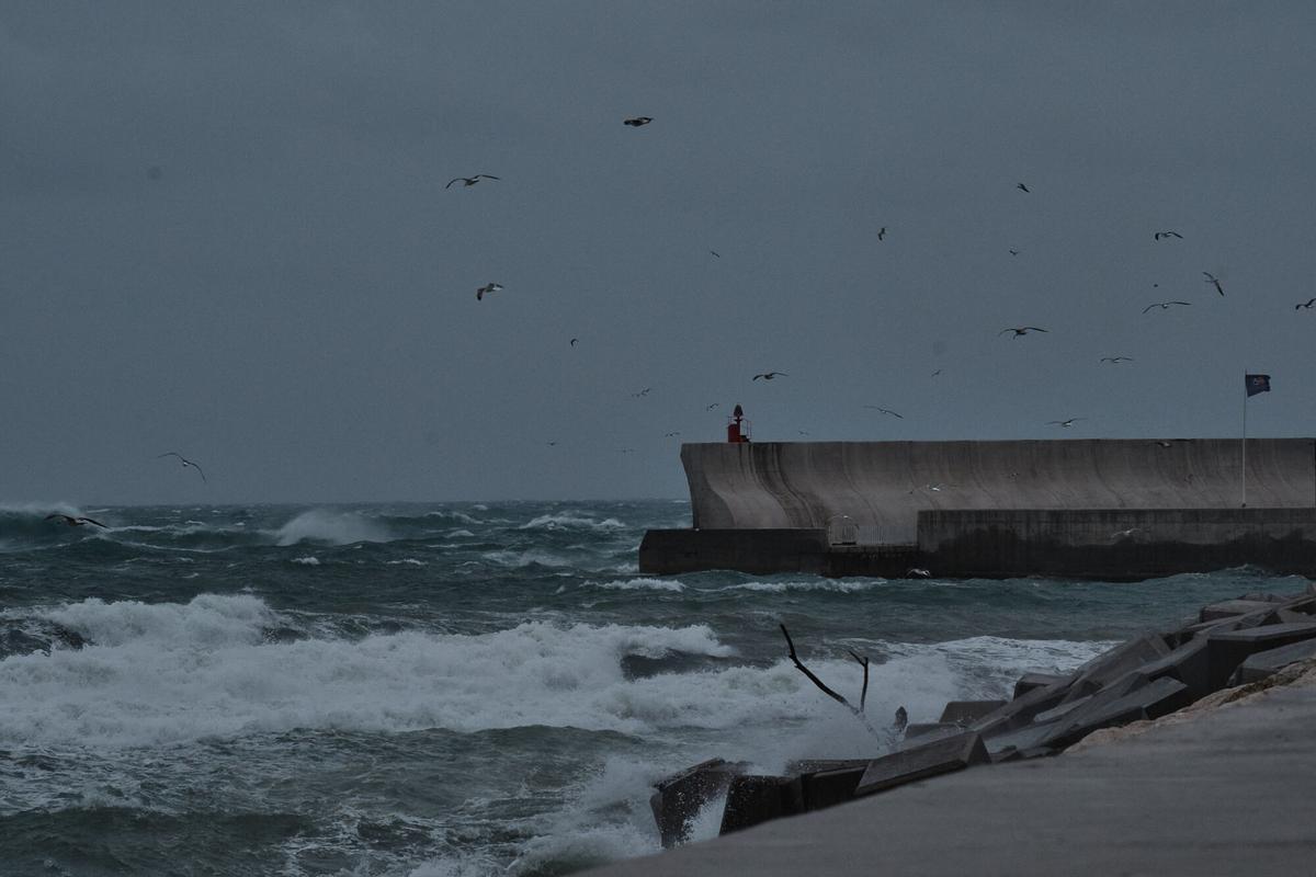 27-12-25 Málaga, Borrasca Fria.(Fotografía: Gregorio Marrero)