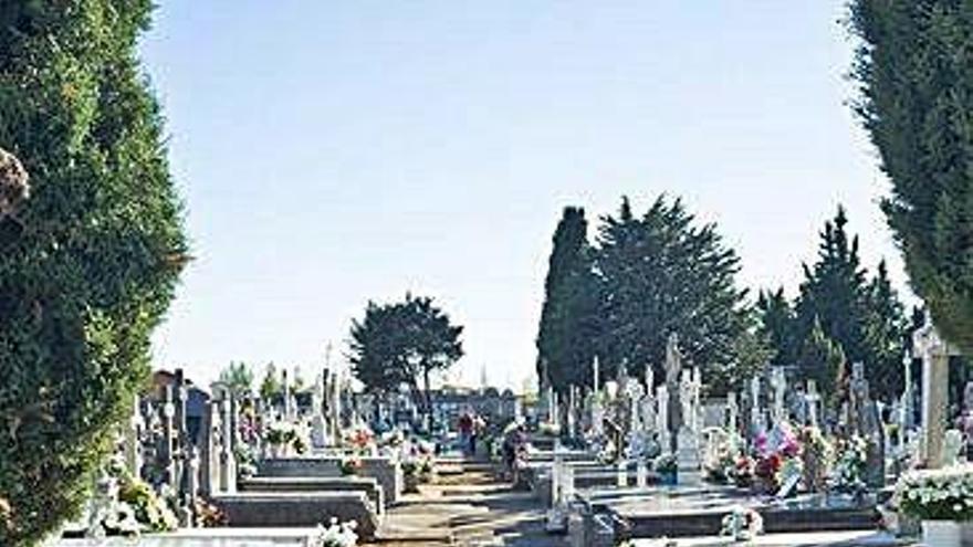 Uno de los irregulares paseos entre sepulturas del cementerio que será remodelado.