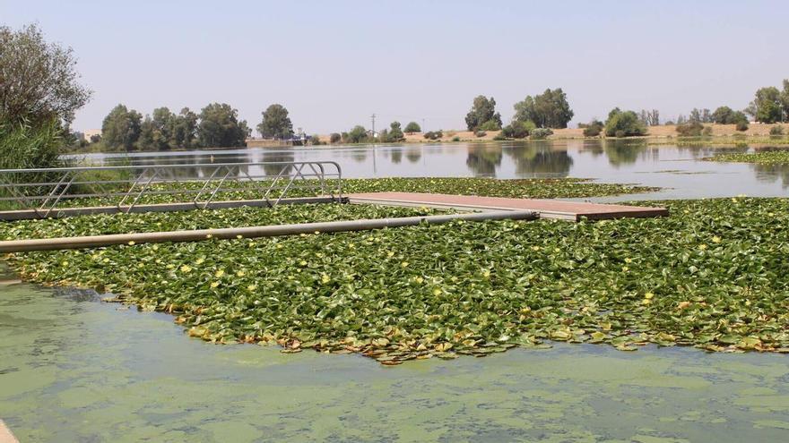 El Guadiana en Badajoz reabrirá a la navegación tras más de tres semanas cerrado